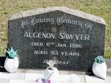 image of grave number 889391